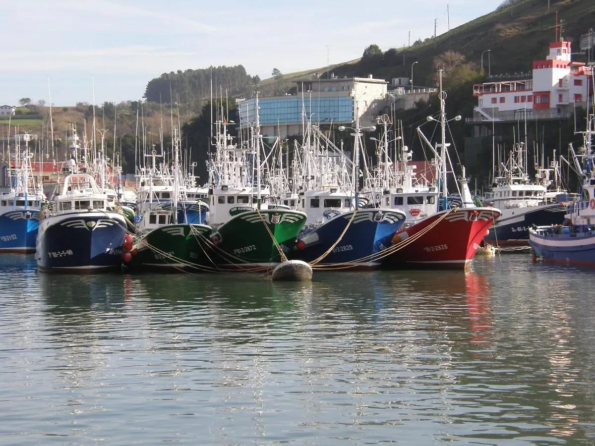 Apartamento Apartamento frente al ayuntamiento de Bermeo 0*,